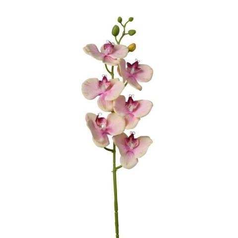 RAMO ORCHIDEA PEACH YELLOW